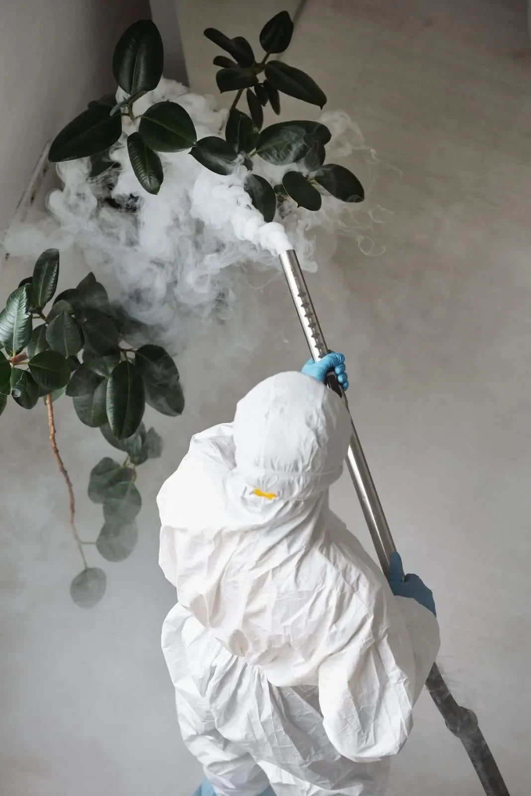 Pest control professional at work